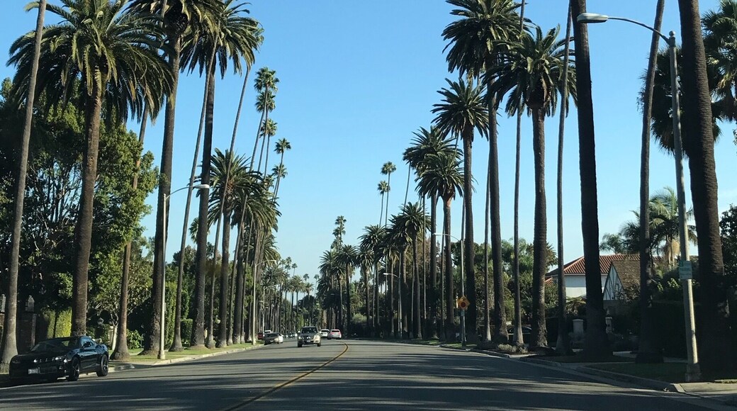 Driving through fancy neighborhoods in Beverly Hills