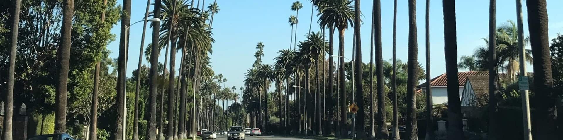 Driving through fancy neighborhoods in Beverly Hills