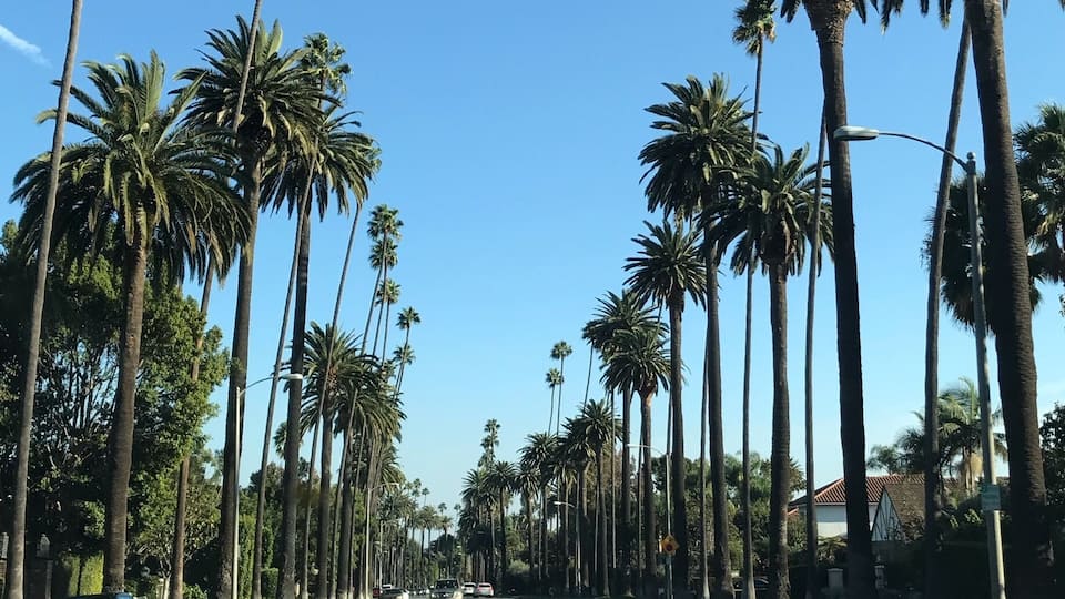 Driving through fancy neighborhoods in Beverly Hills