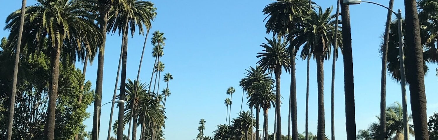 Driving through fancy neighborhoods in Beverly Hills