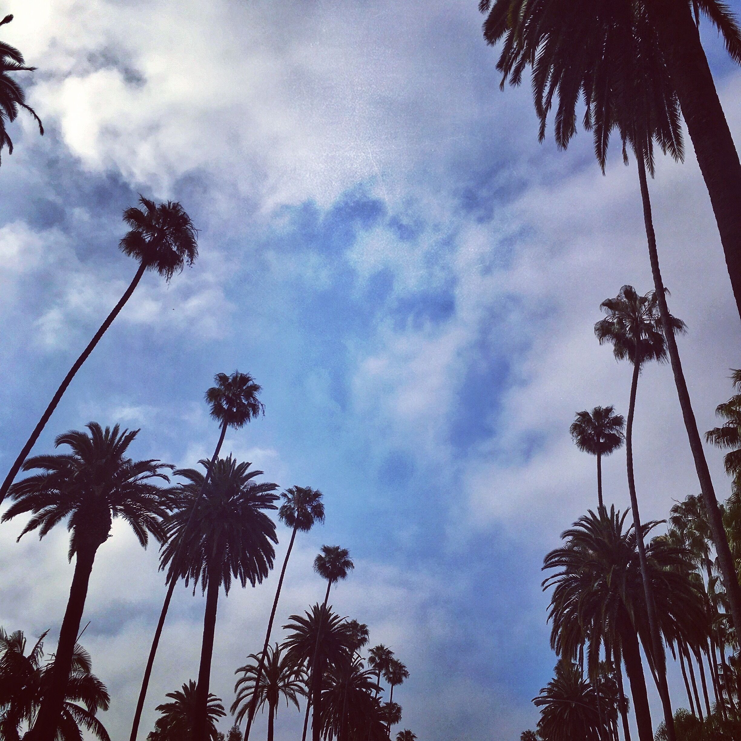 It doesn’t get more iconic than this! Beverly Hills Blvd. any old day of the week. Free.

#BVSBlue #california