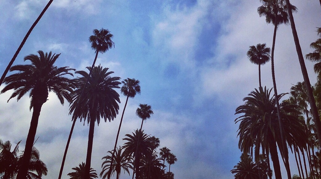 It doesn’t get more iconic than this! Beverly Hills Blvd. any old day of the week. Free.
#BVSBlue #california