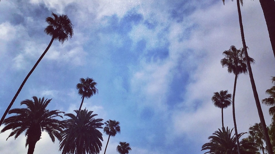 It doesn’t get more iconic than this! Beverly Hills Blvd. any old day of the week. Free.
#BVSBlue #california