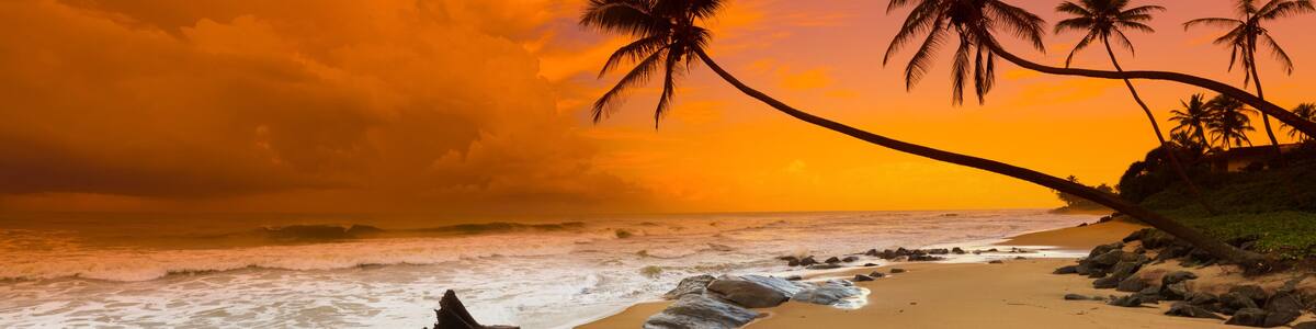 Sunset over the sea. Panorama