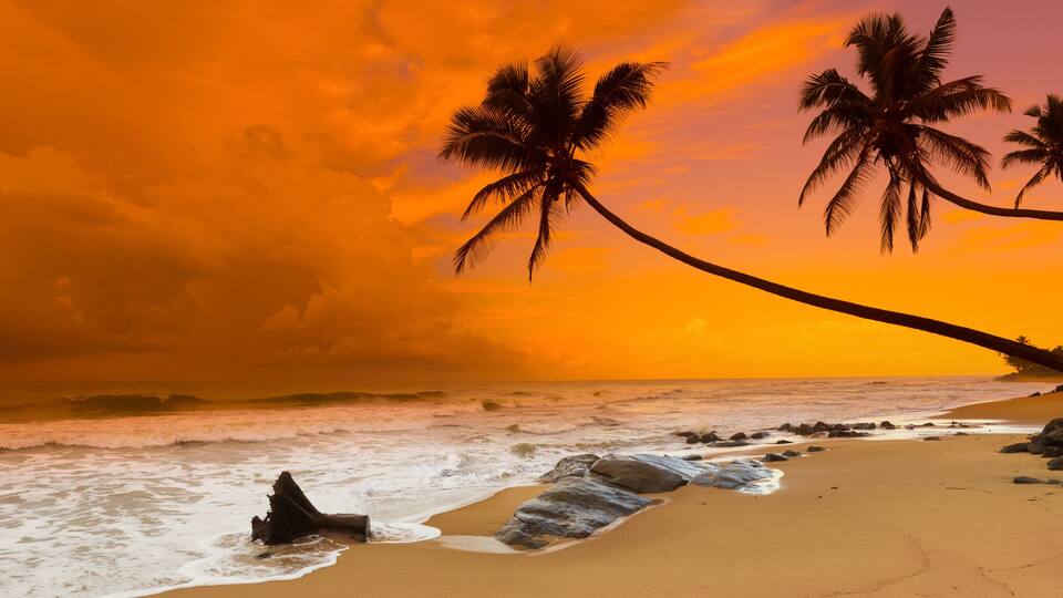 Sunset over the sea. Panorama