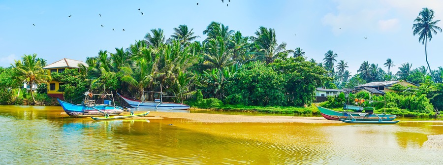 Un río con barcos, palmeras y casas a lo largo de sus orillas.