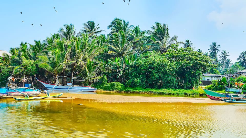 A river with boats, palm trees, and houses along the banks.