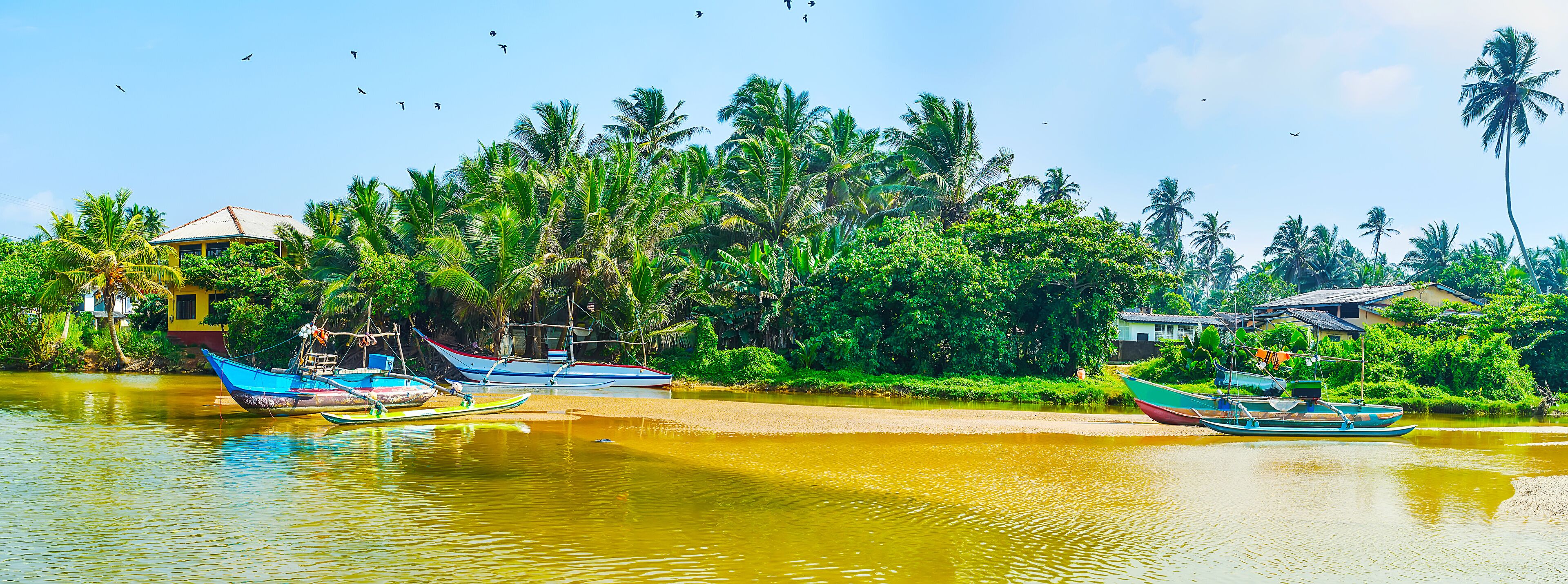 A river with boats, palm trees, and houses along the banks.