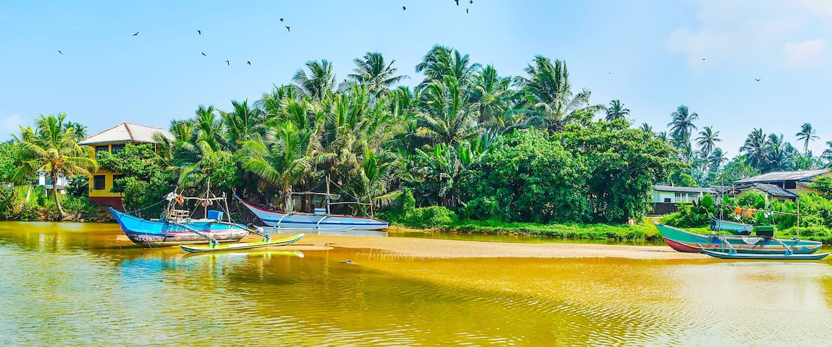 A river with boats, palm trees, and houses along the banks.