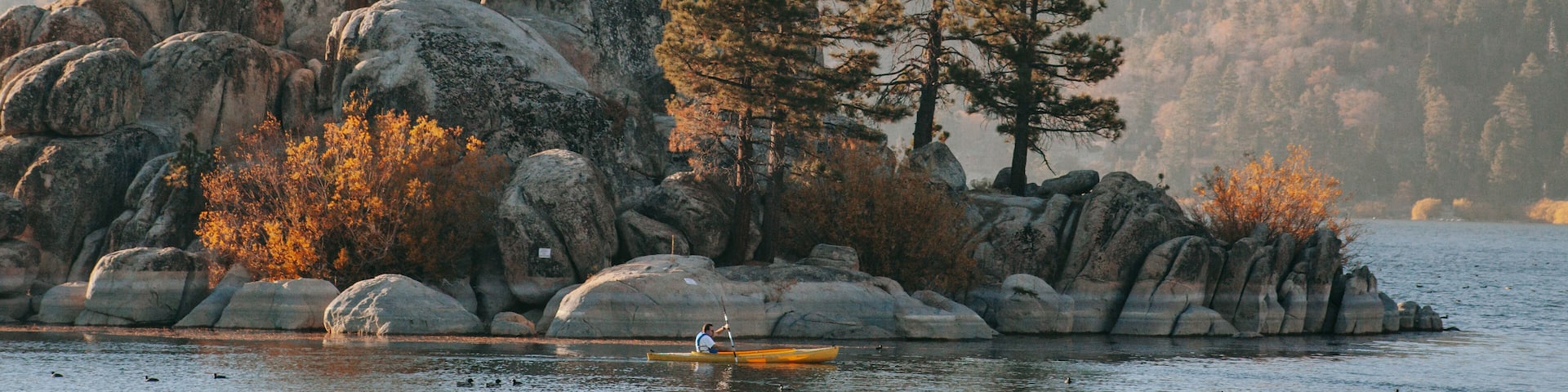 Big Bear Lake showing landscape views, forest scenes and kayaking or canoeing
