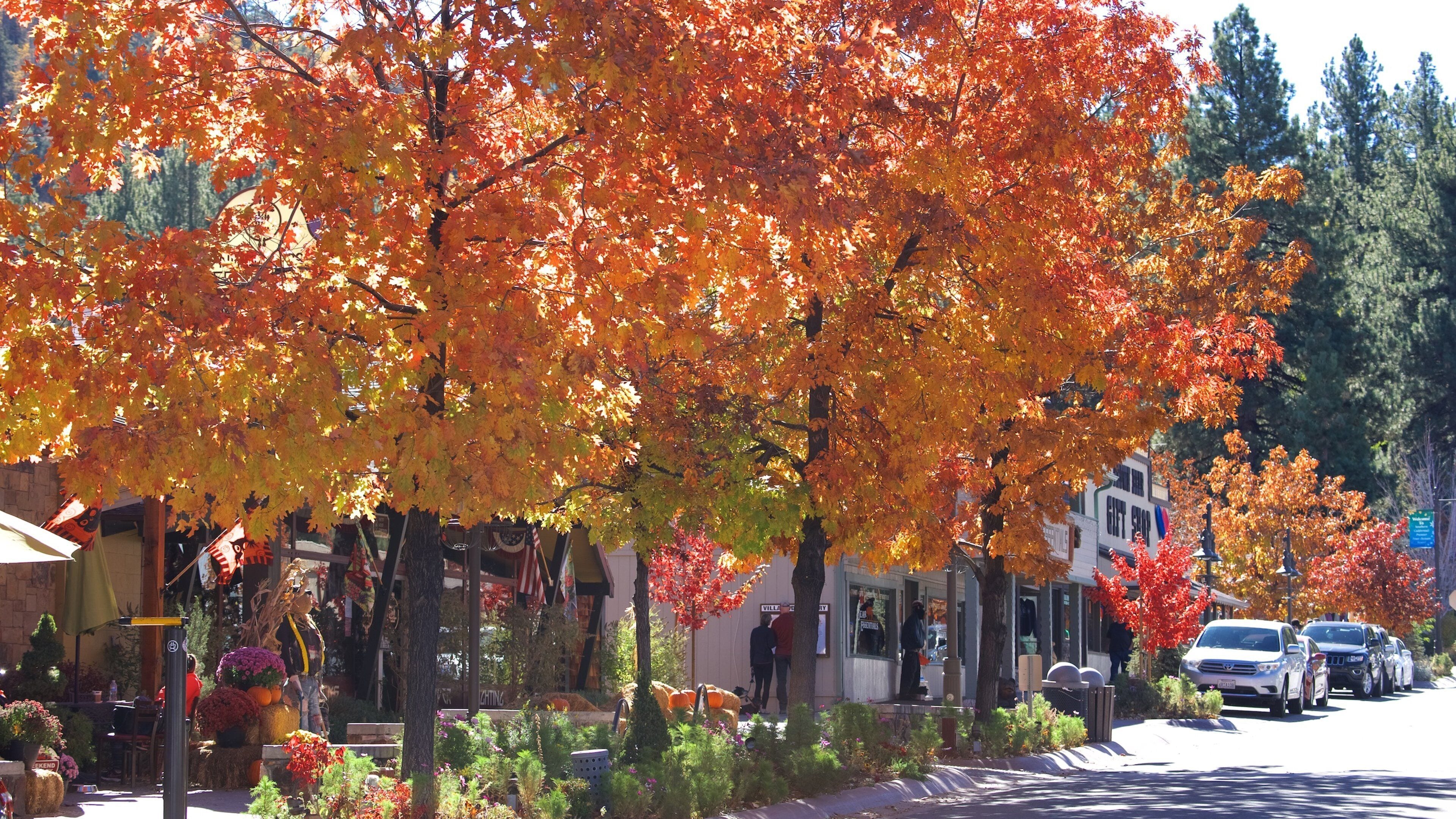 大熊湖 其中包括 秋色