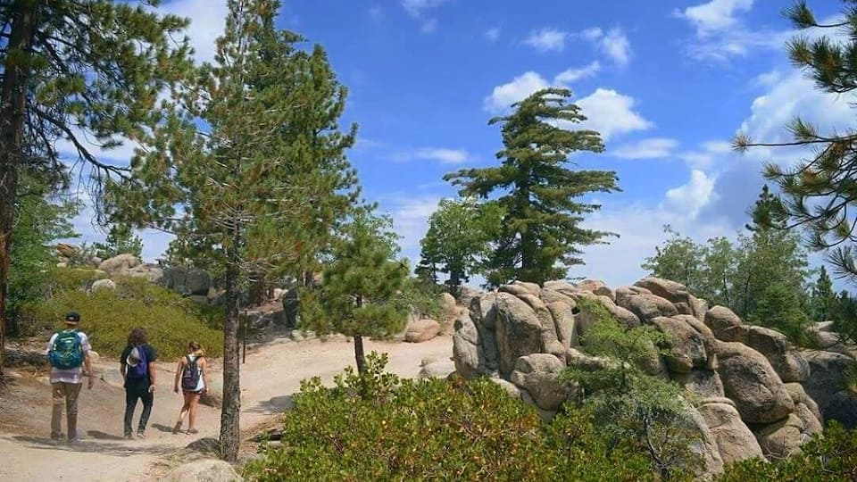 A hiking trail with hikers, pine trees, and large boulders.