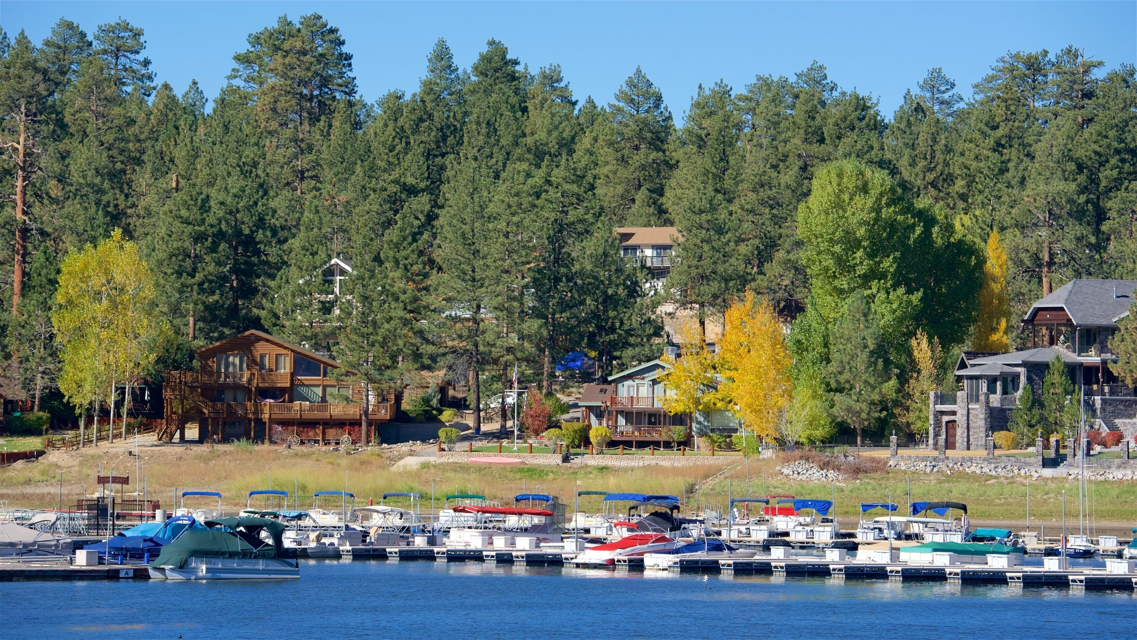 A marina with boats docked, surrounded by a forest with autumn-colored trees and a variety of buildings.