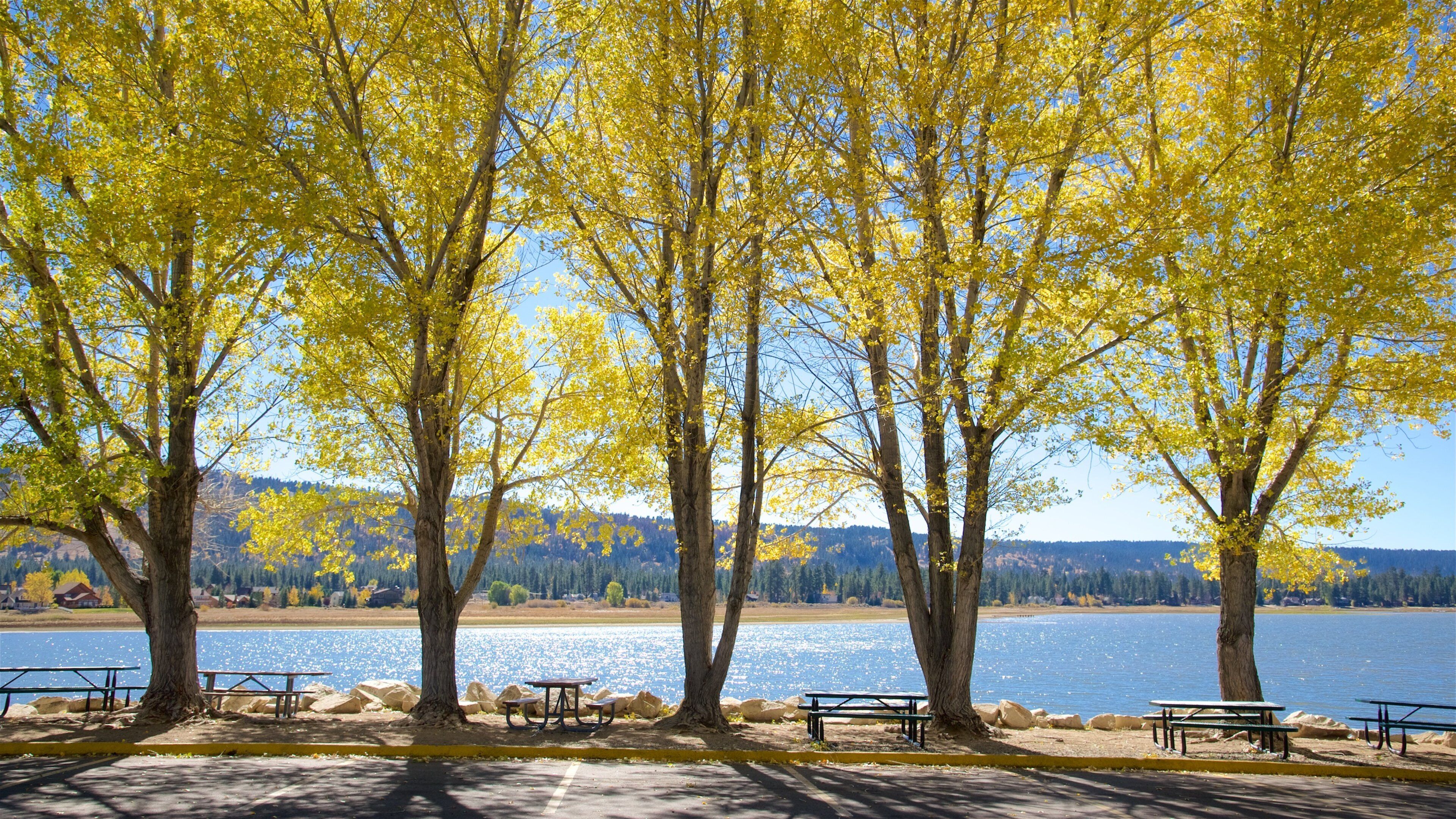 A lakeside park with yellow-leaved trees, picnic tables, and a clear view of the lake and distant mountains.