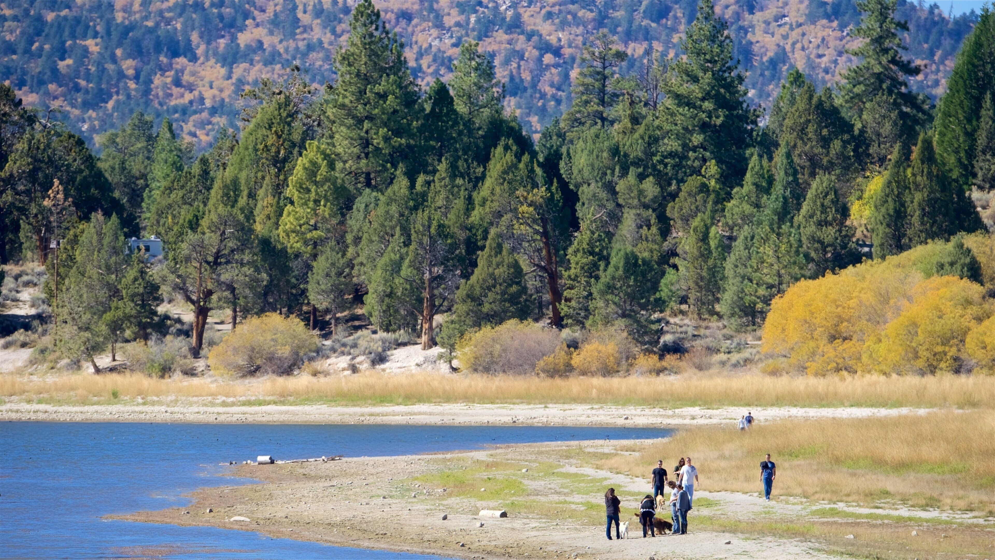 A group of people by a river with a forested hillside in the background.