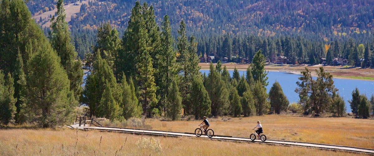Un ciclista en un sendero, con un lago y un bosque al fondo.
