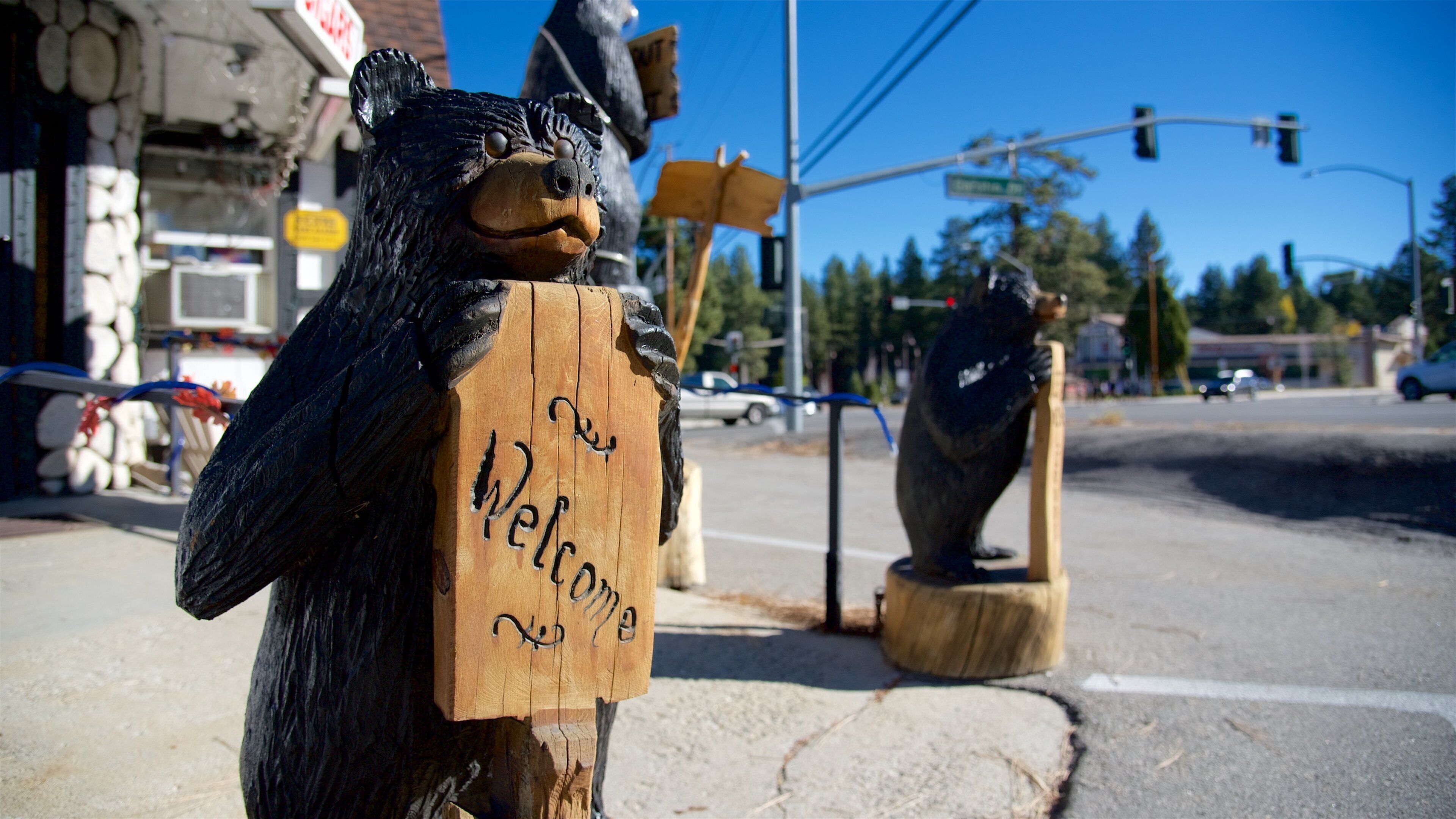 Big Bear Lake che include segnaletica