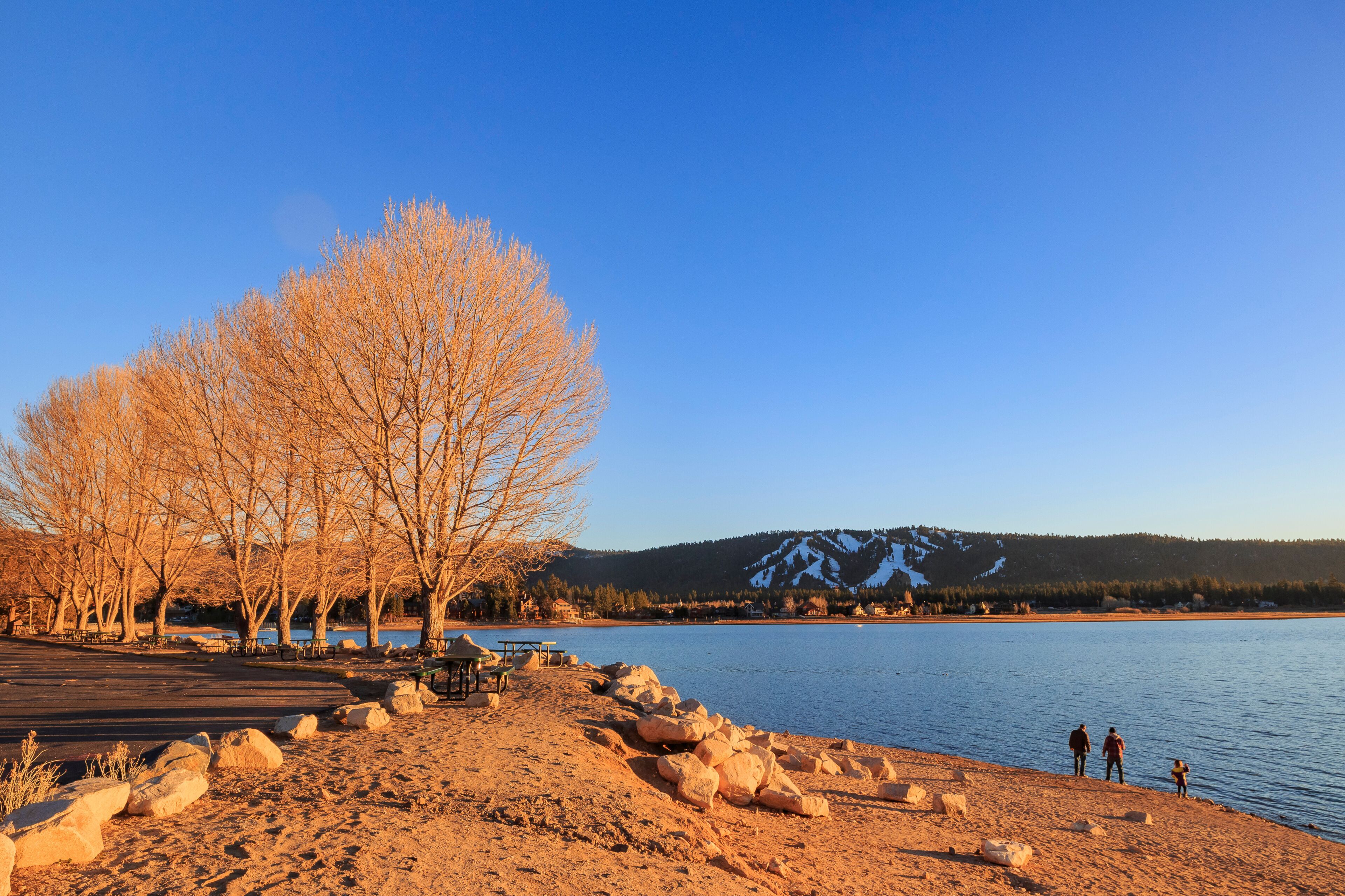 A lakeside scene with leafless trees, a rocky shoreline, and a mountain in the background.