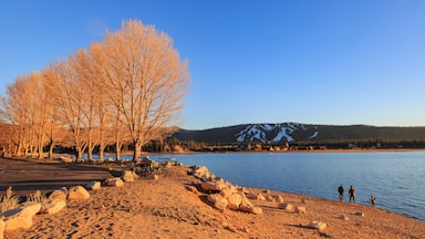 Uma paisagem à beira de um lago, com árvores sem folhas, margem rochosa e montanha ao fundo.