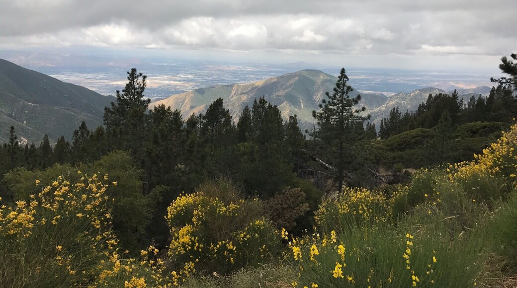 Good memory with a travel buddy 😂