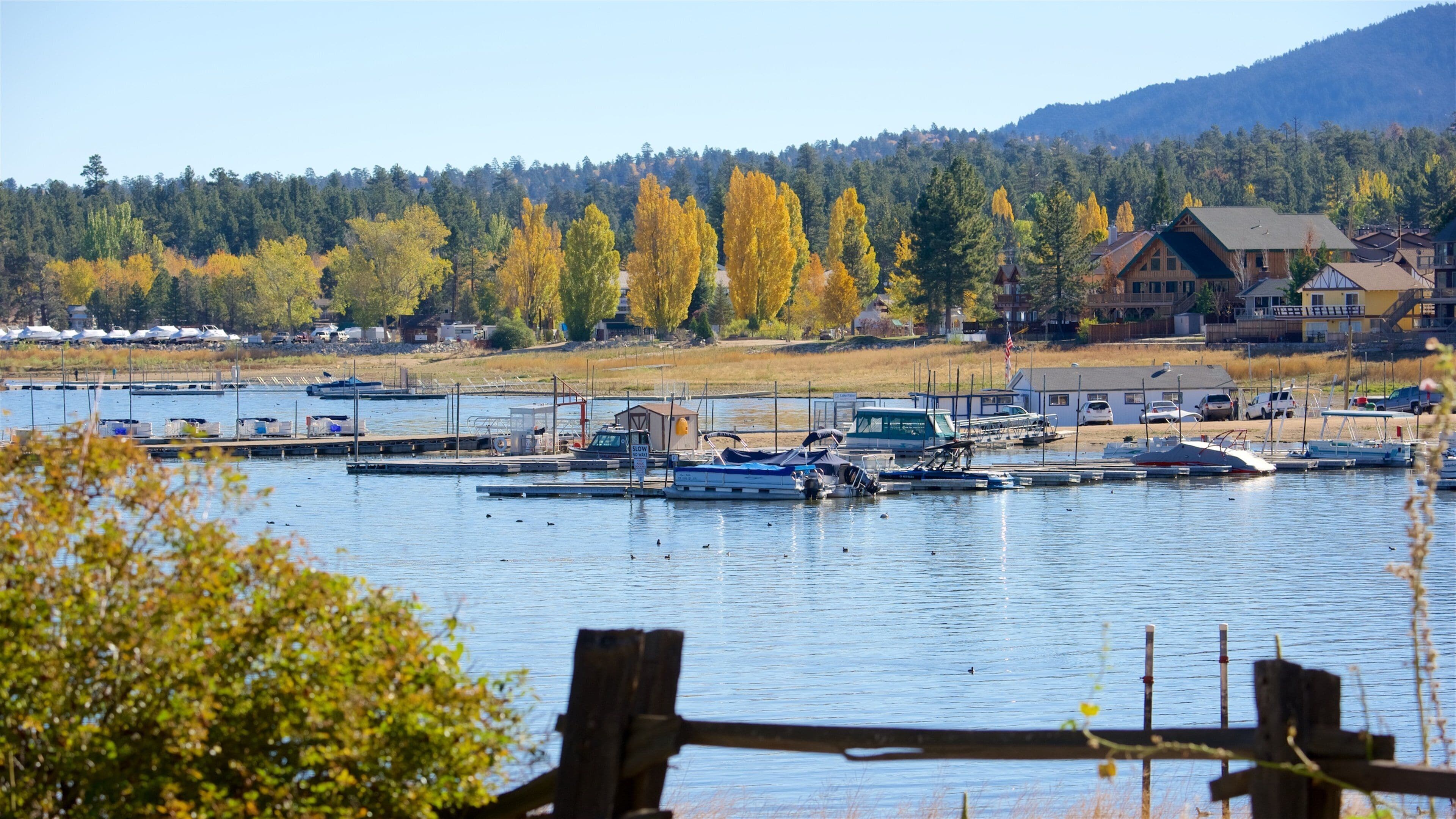 A marina with boats docked, surrounded by autumn trees and a mountain in the background.