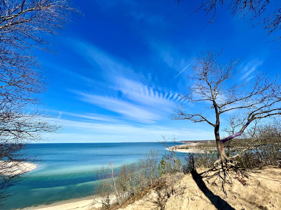 Spring warmth at the Greenbelt Trail along the Kings Park Bluffs and Sunken Meadow Park on the North Shore of Long Island. A bare tree near clear water, it looks reminiscent of the Caribbean Sea.