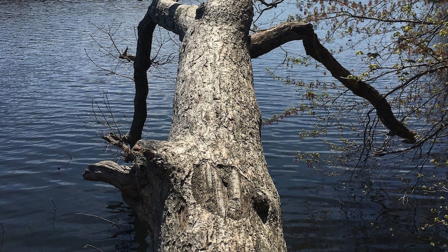 My favorite park on Long Island