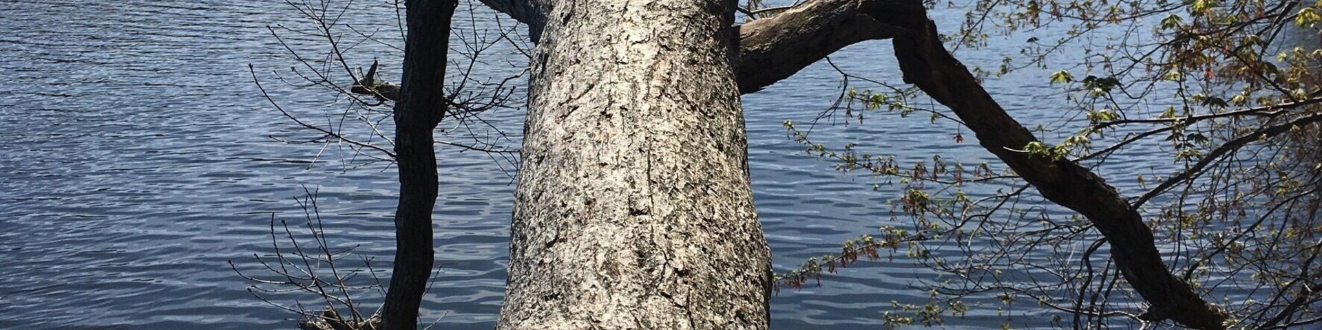 My favorite park on Long Island