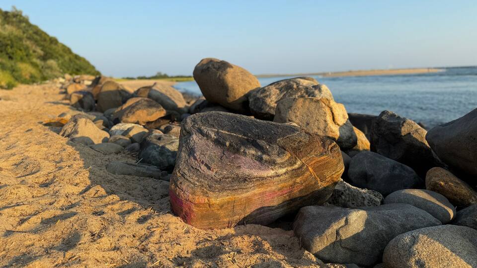 A rocky beach with large boulders and a clear view of the ocean.