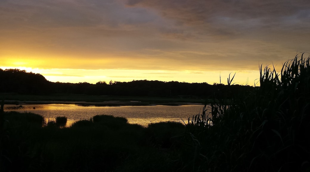 Sunset at San Remo in Kings Park.
