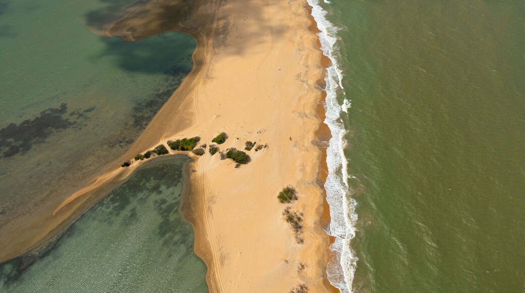 Top view of a beautiful sandy beach and ocean with waves. Kalpitiya, Sri Lanka.