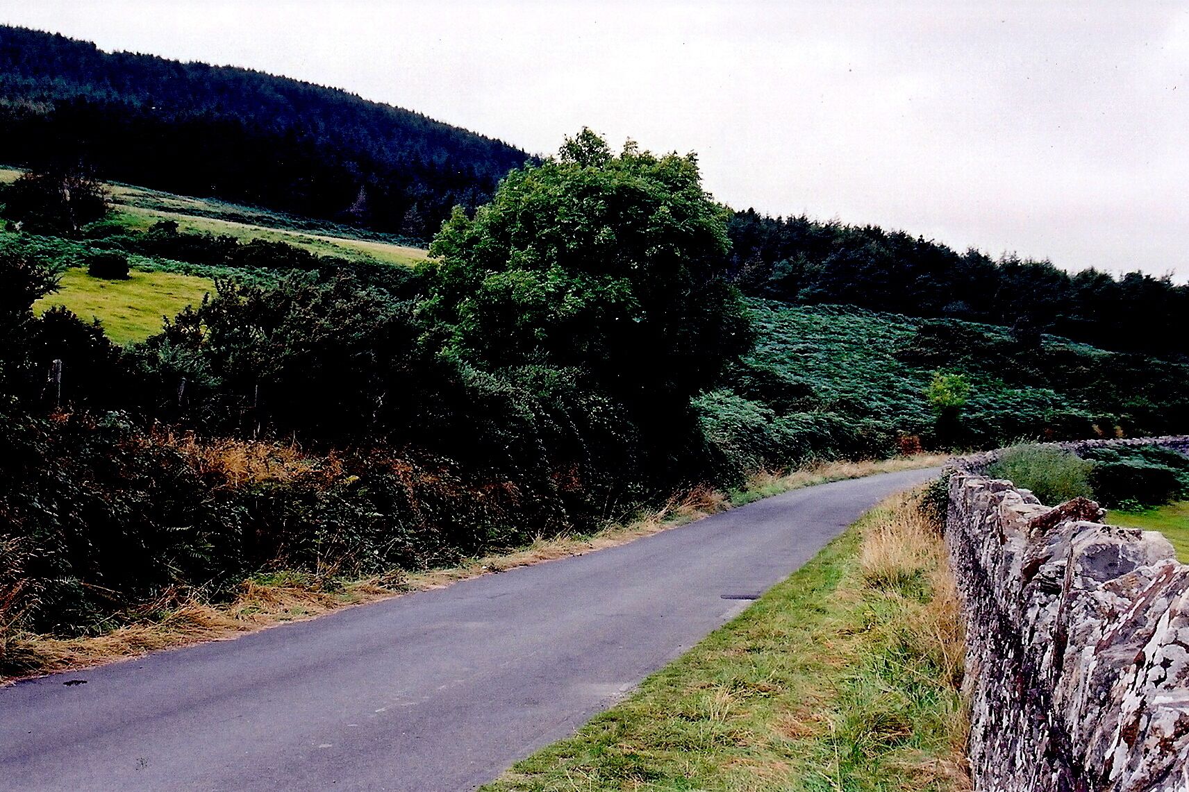 West Baldwin Road (B22) - Colden Plantation at left View is to the north from B22 turns to the right with Injebrick Plantation to the east side of the road.