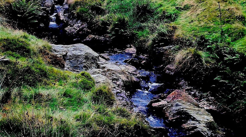 West Baldwin Road (B22) - Stream descending hill View is to the northwest from B22. Location is north of Colden Plantation and west of Injebrick Plantation.