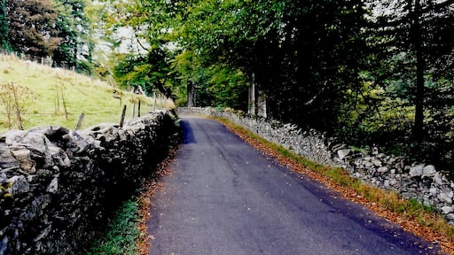 West Baldwin Road (B22) - Sheep grazing on hillside View is to the northwest from B22. To the left, a stream descends from a hillside and passes beneath the road. Location is north of Colden Plantation and west of Injebrick Plantation.