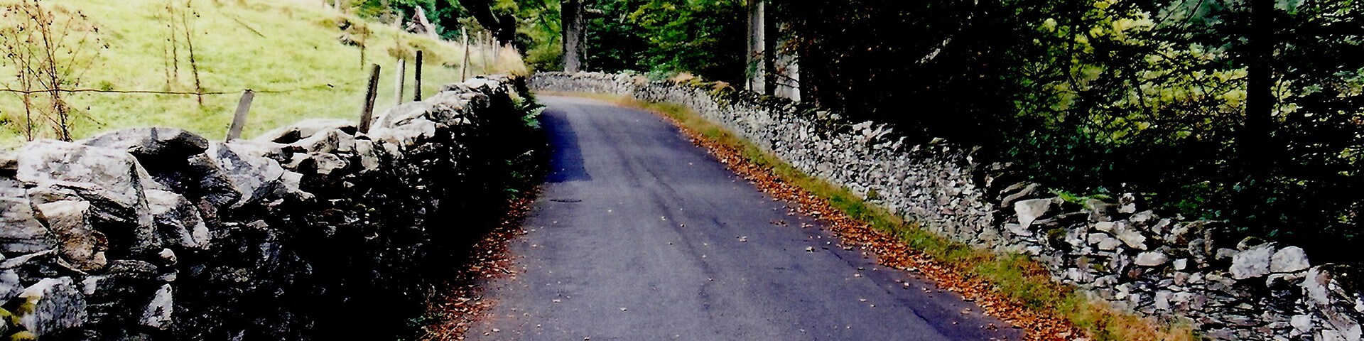 West Baldwin Road (B22) - Sheep grazing on hillside View is to the northwest from B22. To the left, a stream descends from a hillside and passes beneath the road. Location is north of Colden Plantation and west of Injebrick Plantation.