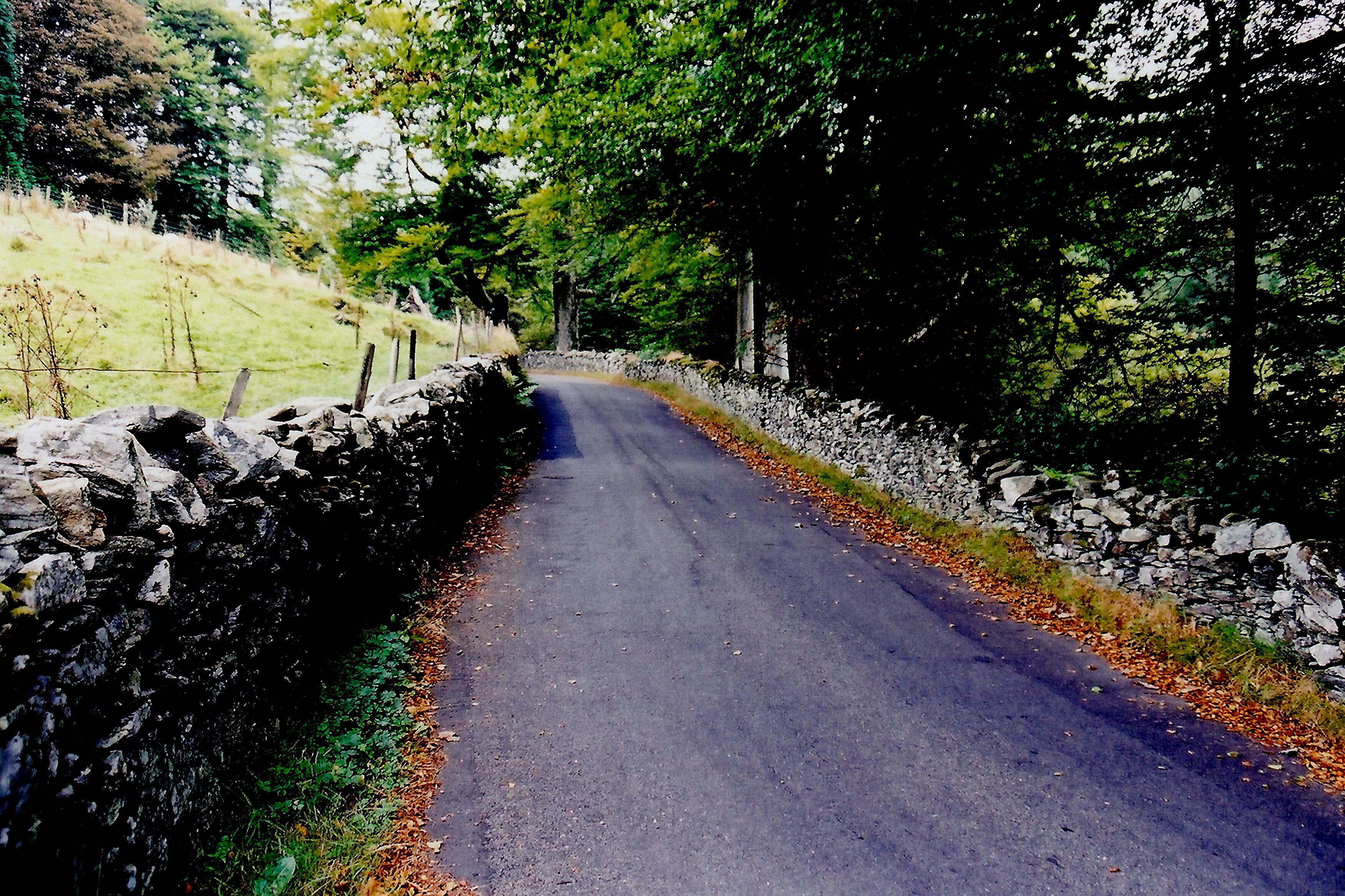 A narrow rural road flanked by stone walls and trees.