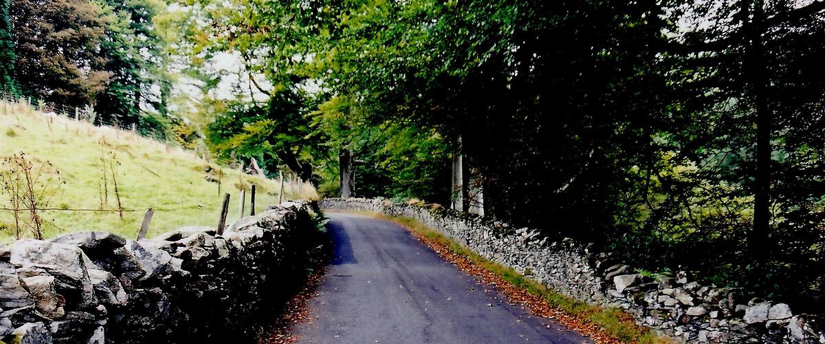 A narrow rural road flanked by stone walls and trees.