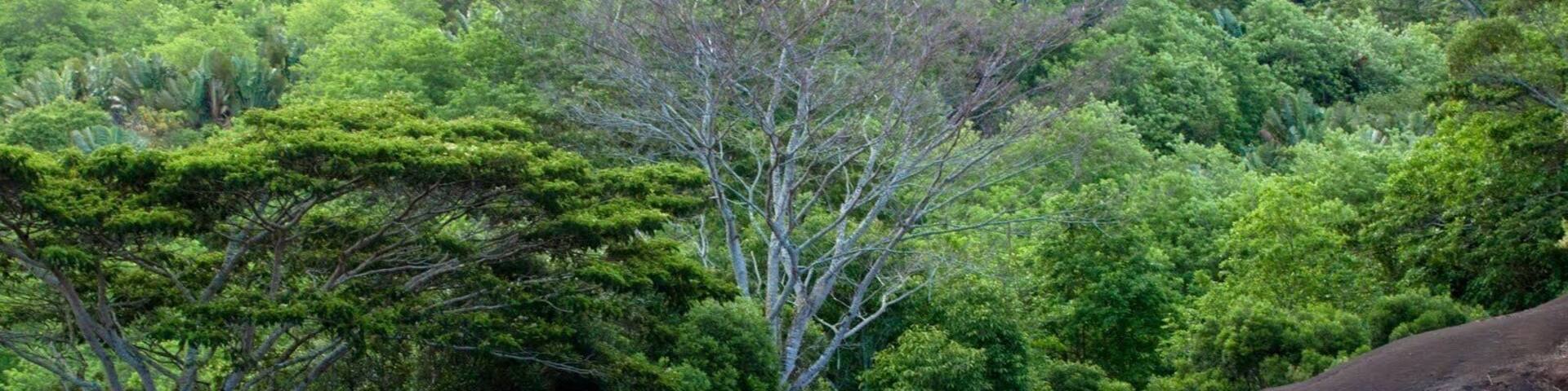 La terre coloré naturel