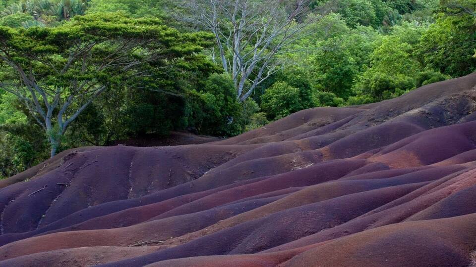 A landscape with rolling hills covered in reddish-brown soil, surrounded by dense green forest.