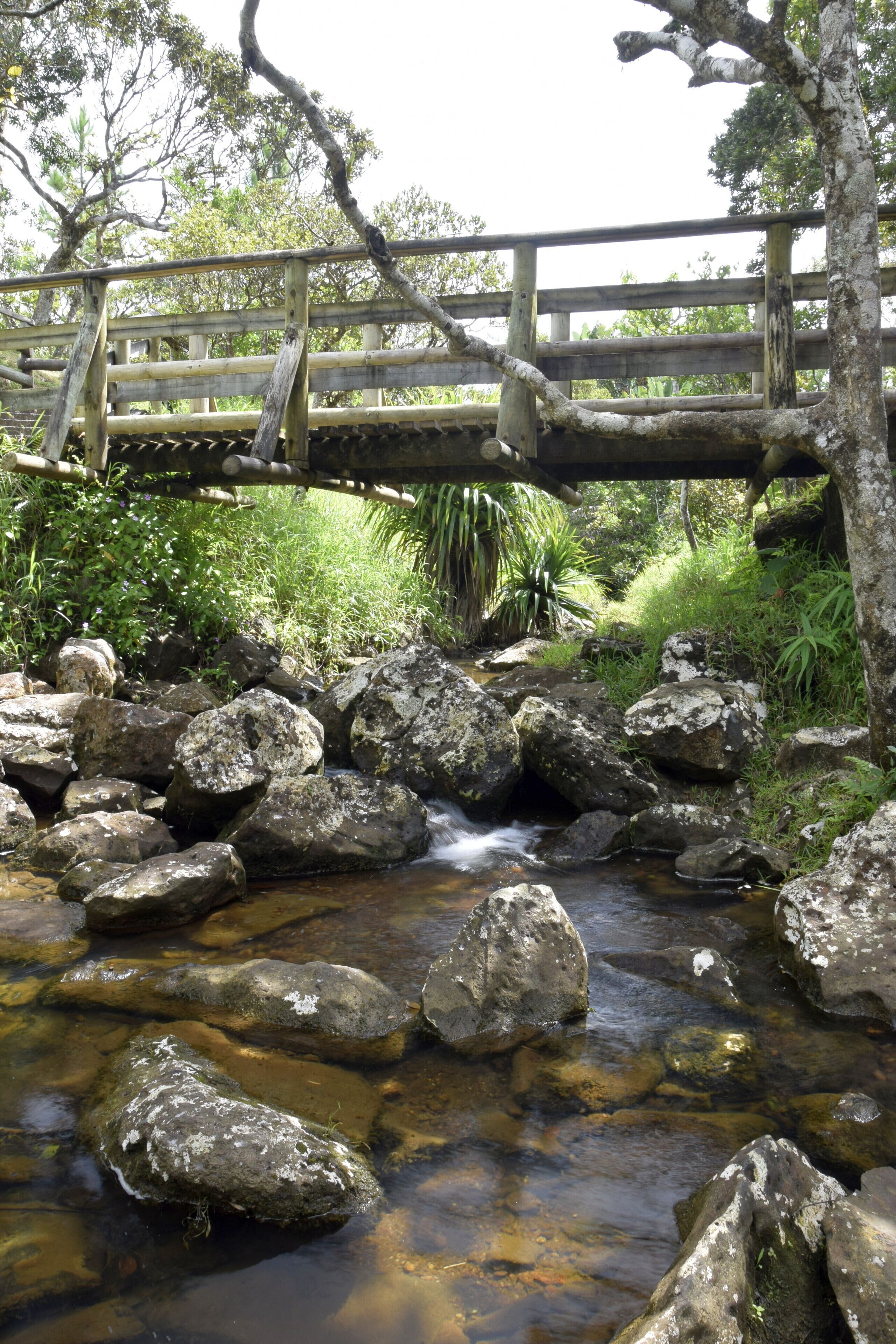 Somewhere in Mauritius