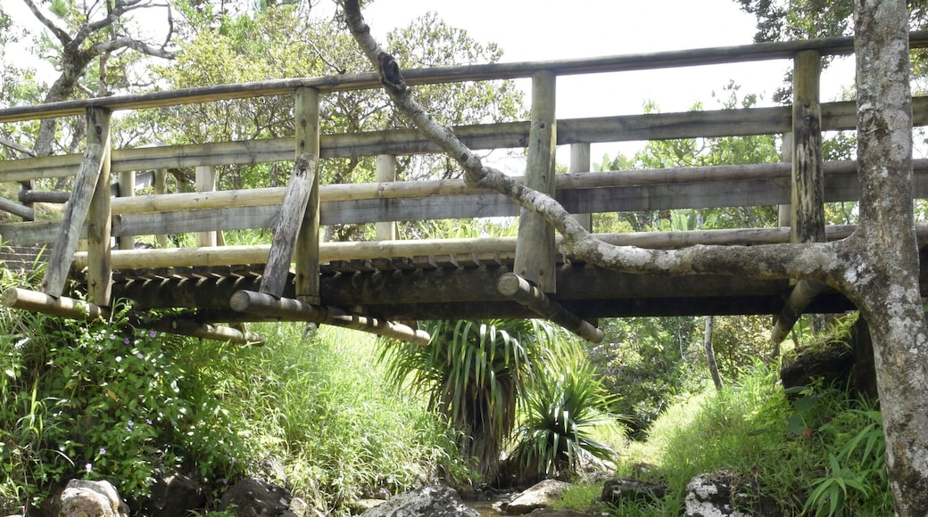 Somewhere in Mauritius