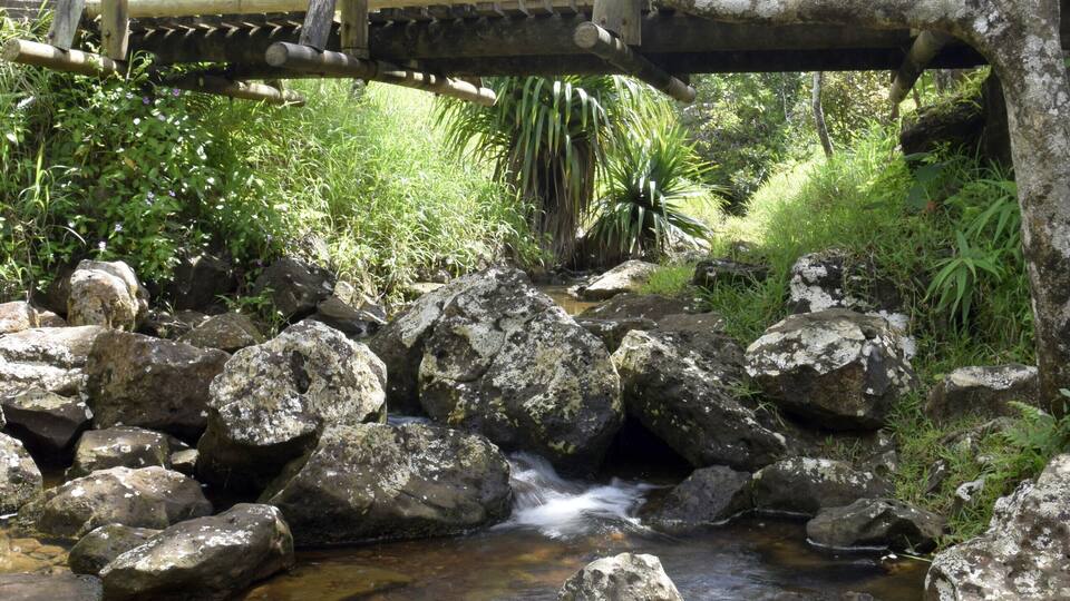 A wooden bridge over a rocky stream with lush greenery around.
