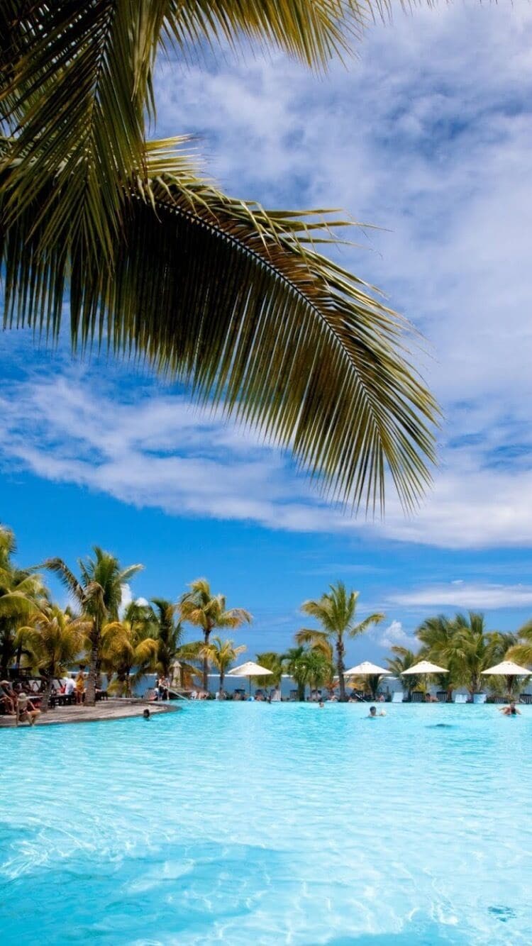 A clear blue pool surrounded by palm trees and umbrellas.
