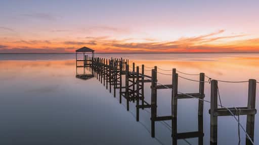 One of the northernmost towns along the coast in North Carolina, Duck is an idyllic town on the shores of the Currituck Sound. This shot was taken from the town's boardwalk while looking West over the sounds. It is advisable to visit the location in Winter as that is off season - so you can spend more time taking in the beauty of the North Carolina coastline and also sunsets are usually much more picturesque around the time owing to the cooler temperatures and lower amount of atmospheric haze.
Plenty of things around Duck to see. Further north, there is the Currituck Lighthouse where you can climb the steps to the top of the lighthouse. North of Corolla, there is an area where you can drive along the coast on the sand - 4X4s a must. Here you can spot some Spanish Mustangs, horses out in the wild. If you're lucky, you can spot them running along the beach in the surf. I'd recommend taking a tour through the Corolla Wild Horse Fund - the money from the tours is used to help the wild horses in every which way possible and the staff are knowledgeable and friendly.
Thank you for stopping by and for the support.
#colorful #goldenhour #weekend #waterlust #bestof5