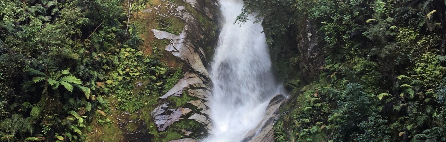 Another beautiful #waterfall in #newzealand. Dorothy Falls is along a gravel road after you pass a Bay next to Lake Kaniere. There’s also signposts for a short walk along the creek to the lake - do it! It’s the most peaceful place I’ve ever been #roadtrip #naturalbeauty