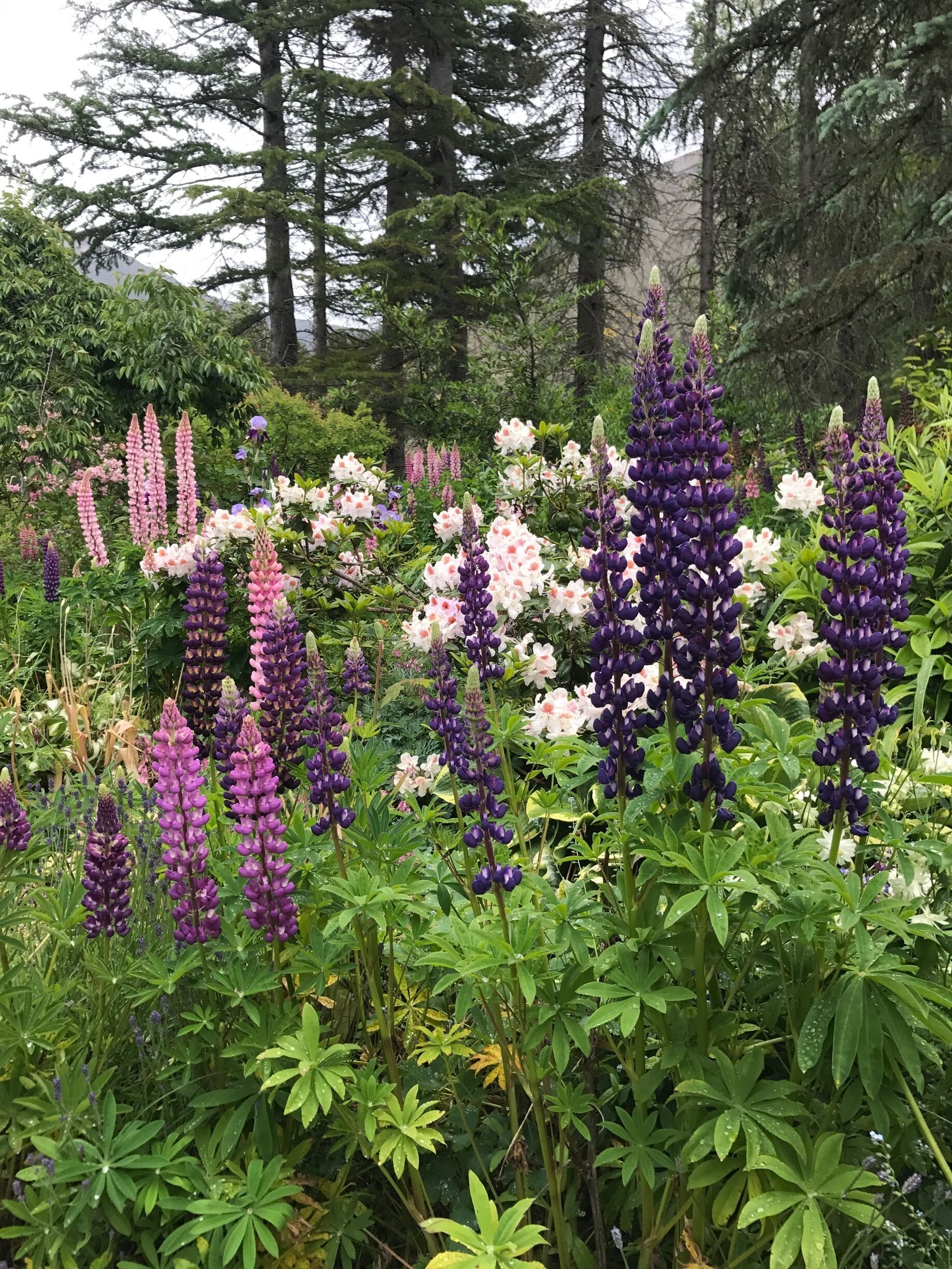 Great place for lunch!