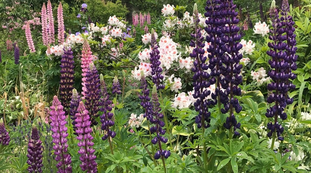 Great place for lunch!