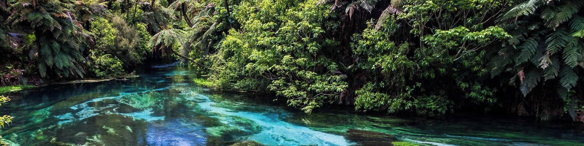 Unbelievable crystal clear water - about 70% of all bottled water in New Zealand is from this spring
#newzealand #spring #nature