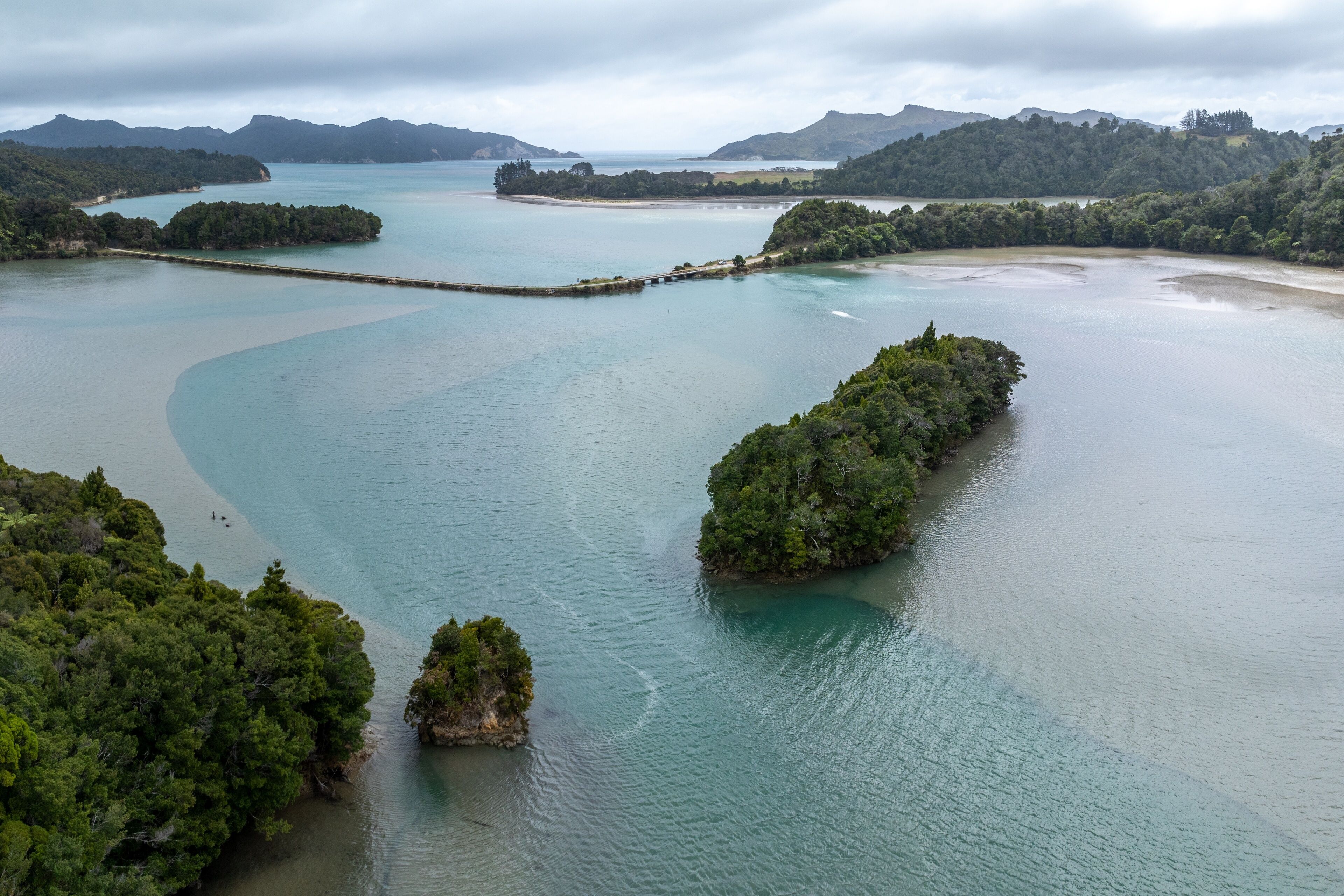 Forest, island and harbour in the South Island. Mangarakau, Paturau, Tasman, New Zealand.