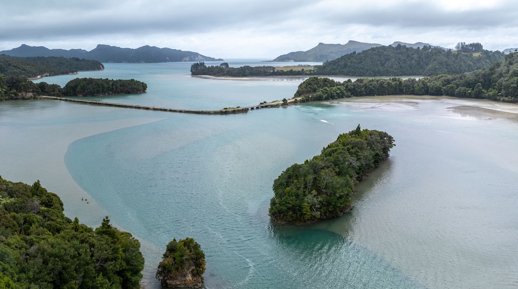 Forest, island and harbour in the South Island. Mangarakau, Paturau, Tasman, New Zealand.